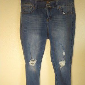 Torrid Lightly Distressed Jeggings